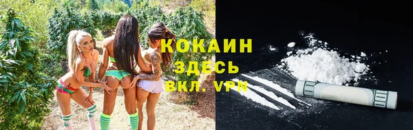 МДПВ Волоколамск