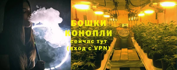 МДПВ Волоколамск
